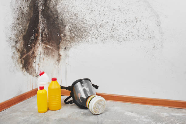 Best Emergency Mold Removal  in Coos Bay, OR