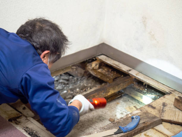 Best Residential Mold Removal  in Coos Bay, OR