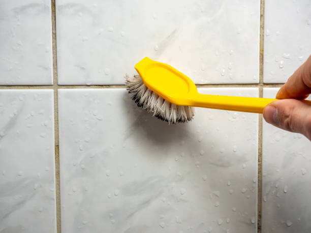  Coos Bay, OR Mold Removal Pros