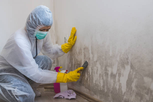 Best Office Mold Removal Services  in Coos Bay, OR