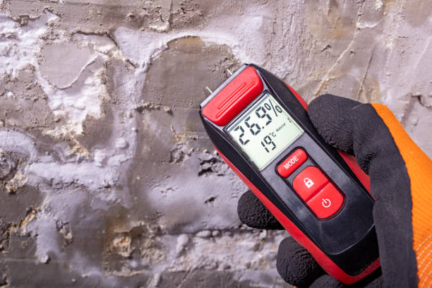 Best Mold Remediation  in Coos Bay, OR