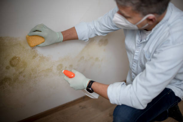 Best Professional Mold Removal  in Coos Bay, OR