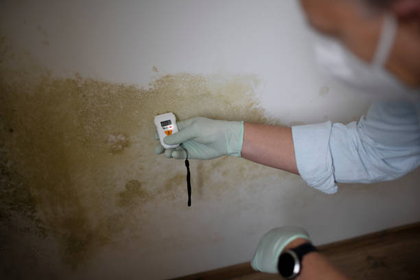Best Crawl Space Mold Removal  in Coos Bay, OR