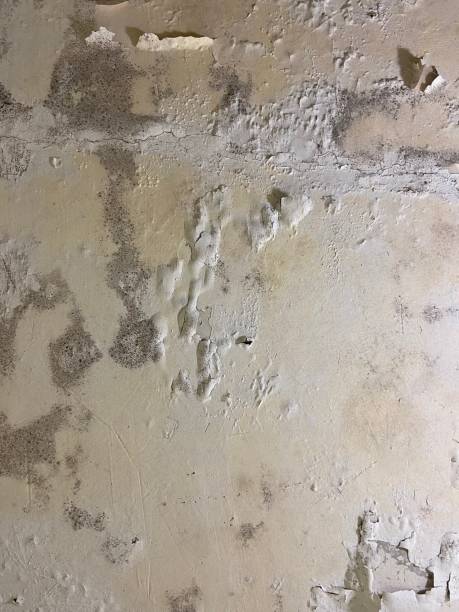 Water Damage Restoration in Coos Bay, OR