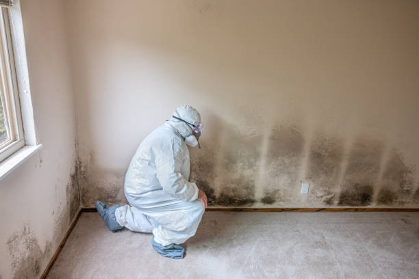 Coos Bay, OR Mold Removal Company