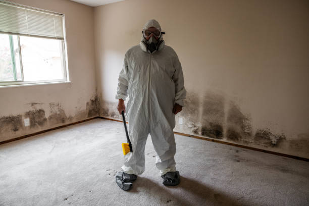Best Attic Mold Removal  in Coos Bay, OR